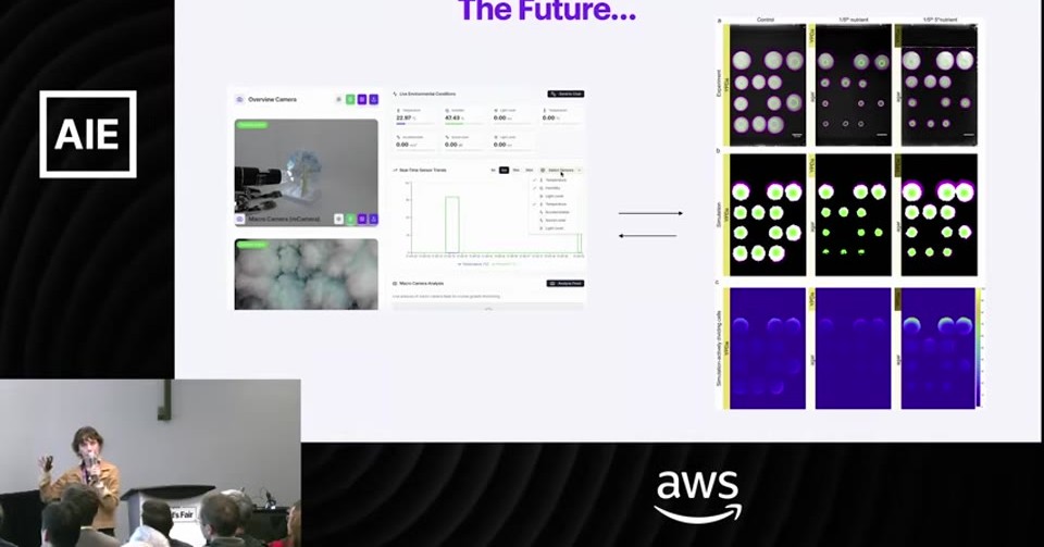slide-014.jpg